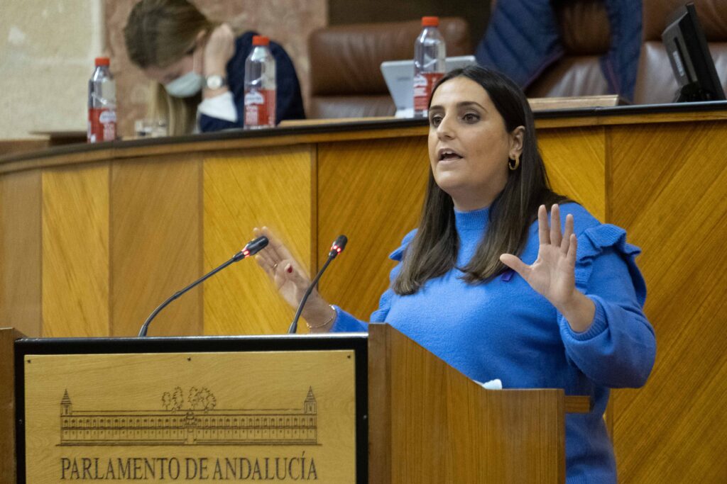 El PP celebra la aprobación de la LISTA, una ley del siglo XXI que permitirá el desarrollo sostenible de Andalucía